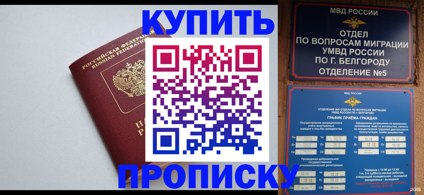 прописка регистрация в Кашире